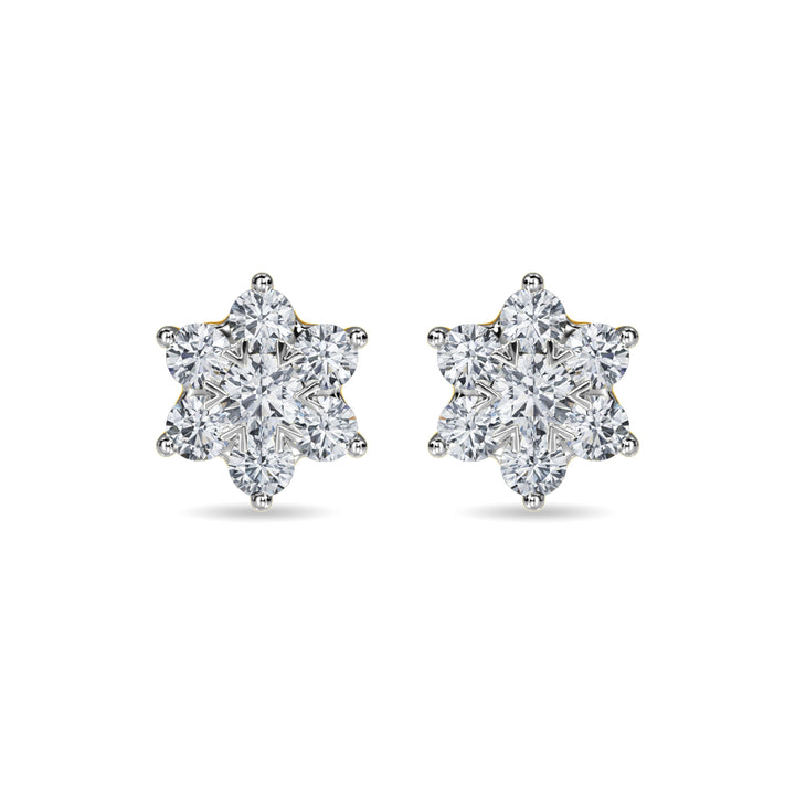 Delanie Earring