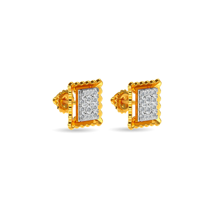 Areea Earring