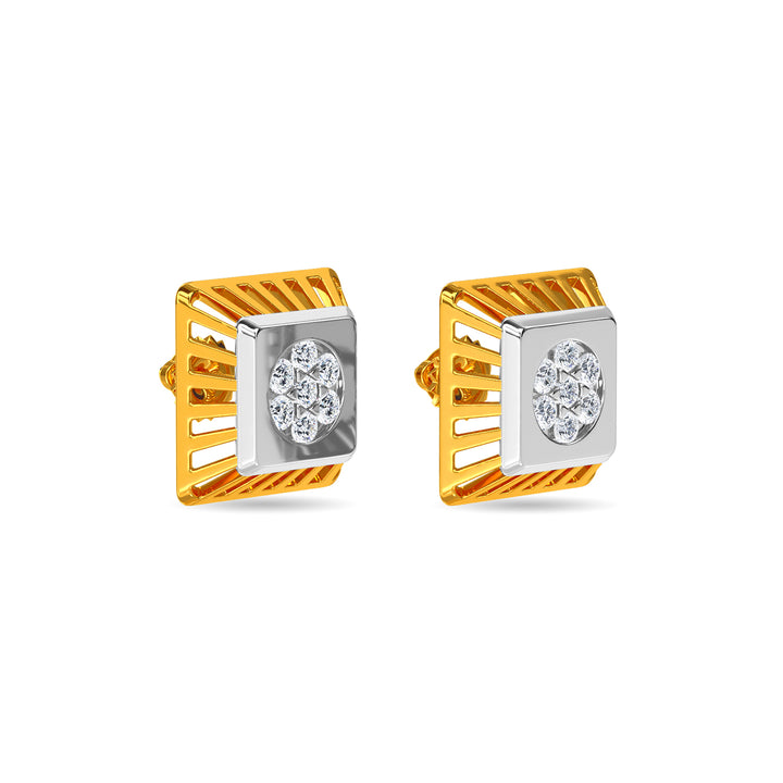 Aviva Earring