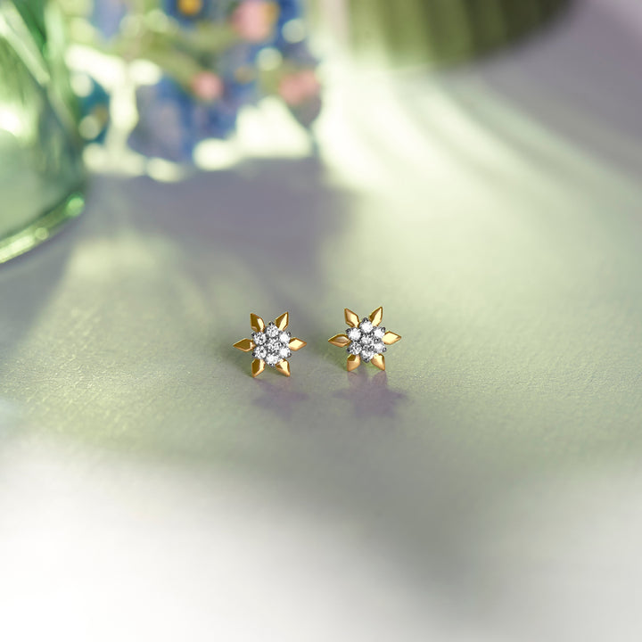 Eviaana Earring