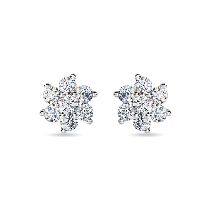 Ginevera Earring
