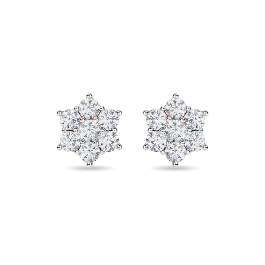 Haylo Earring