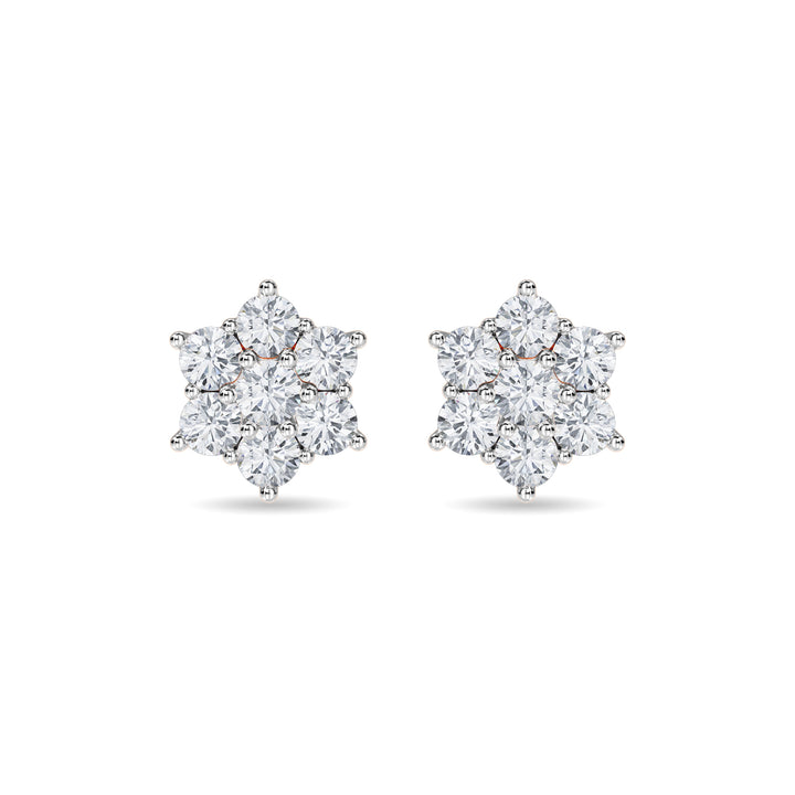 Haylo Earring