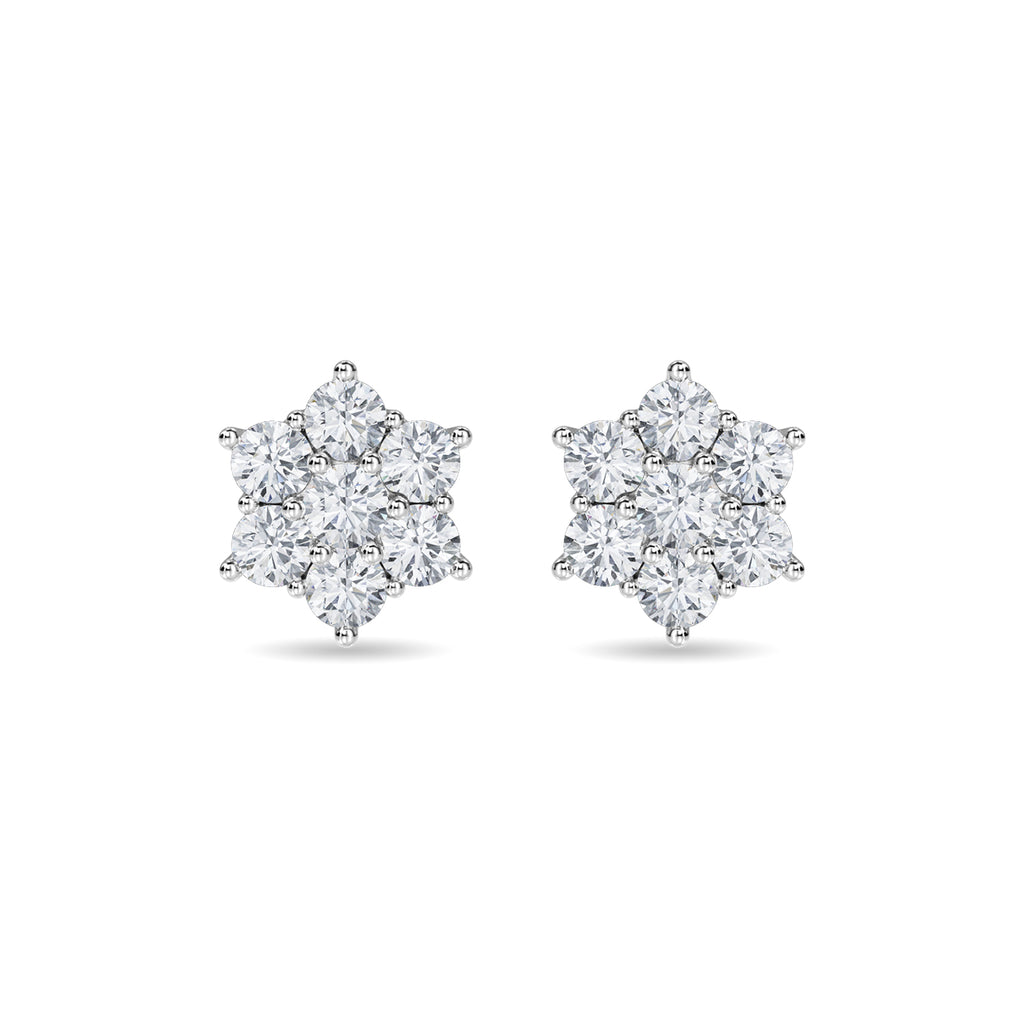 Haylo Earring