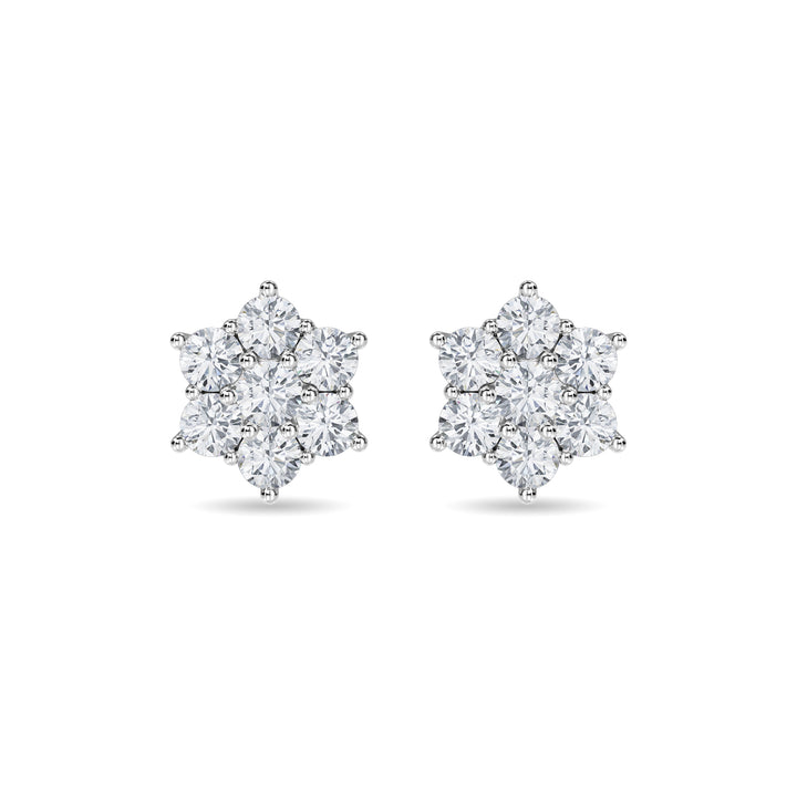 Haylo Earring