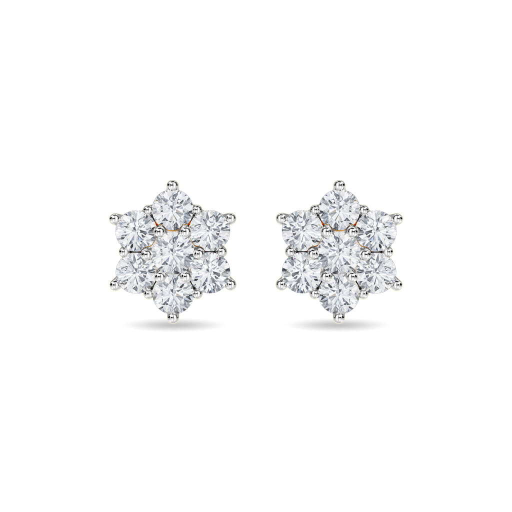 Haylo Earring
