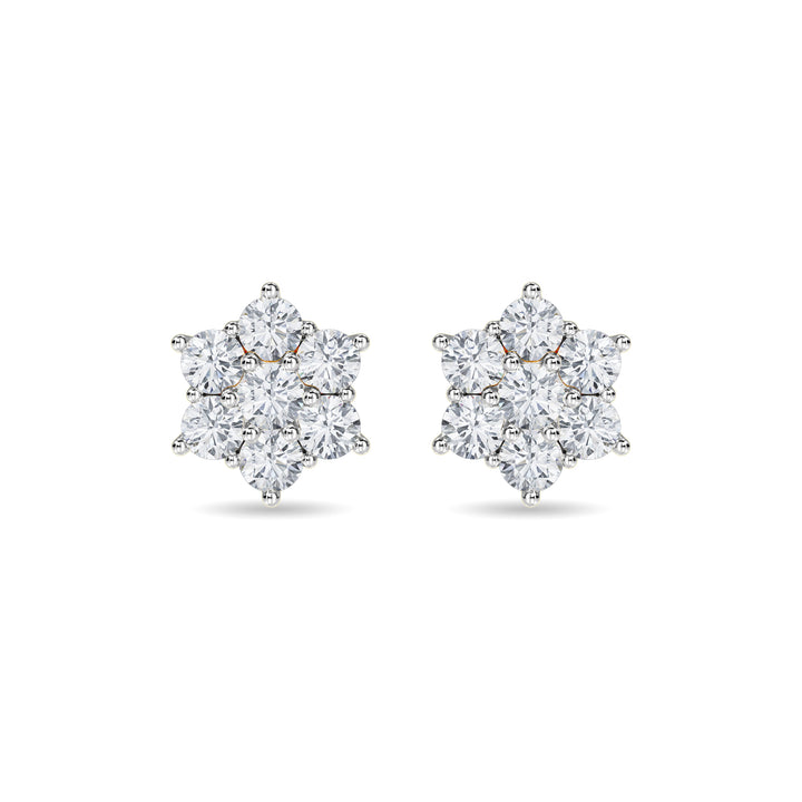 Haylo Earring