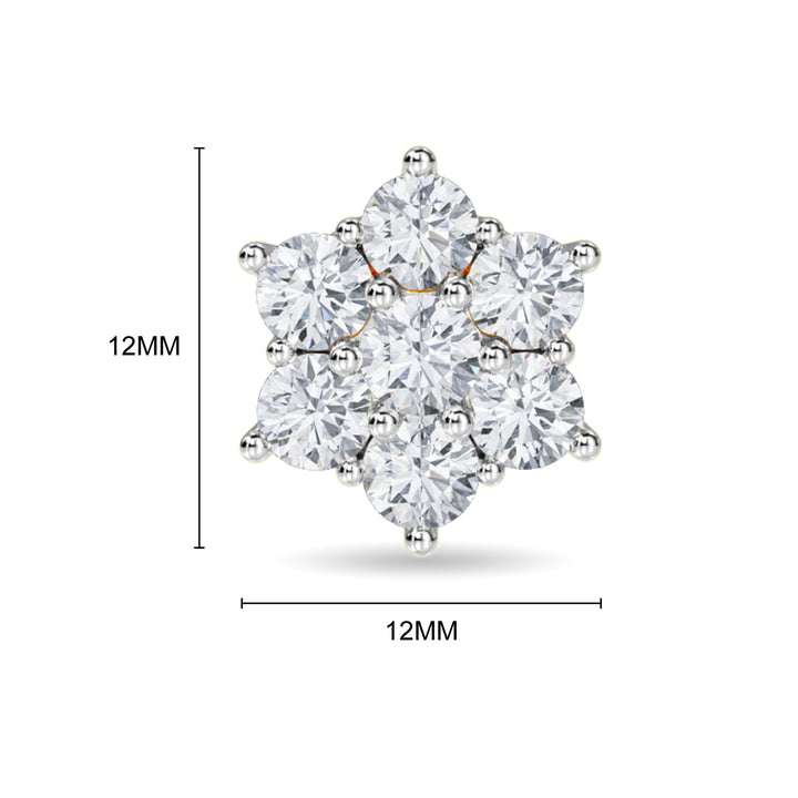 Haylo Earring