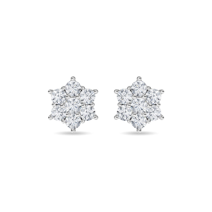 Kaiana Earring