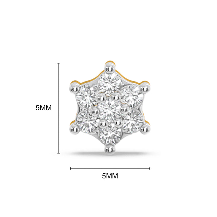 Tessme Nose Pin