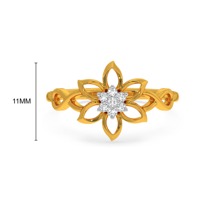 Deni Ring