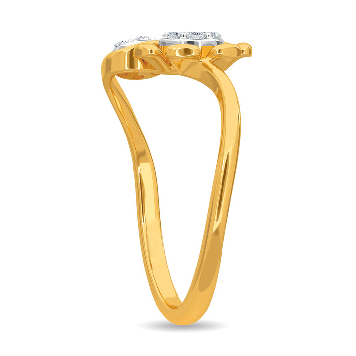 Steffan Ring