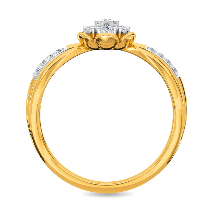 Steven Ring