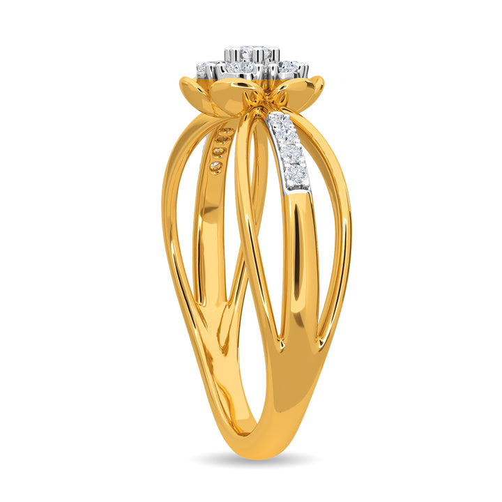 Steven Ring