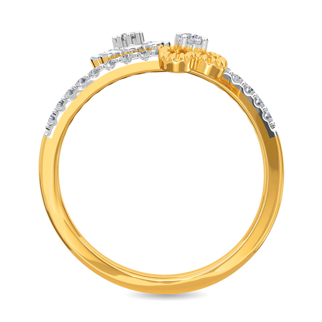 Shannon Ring