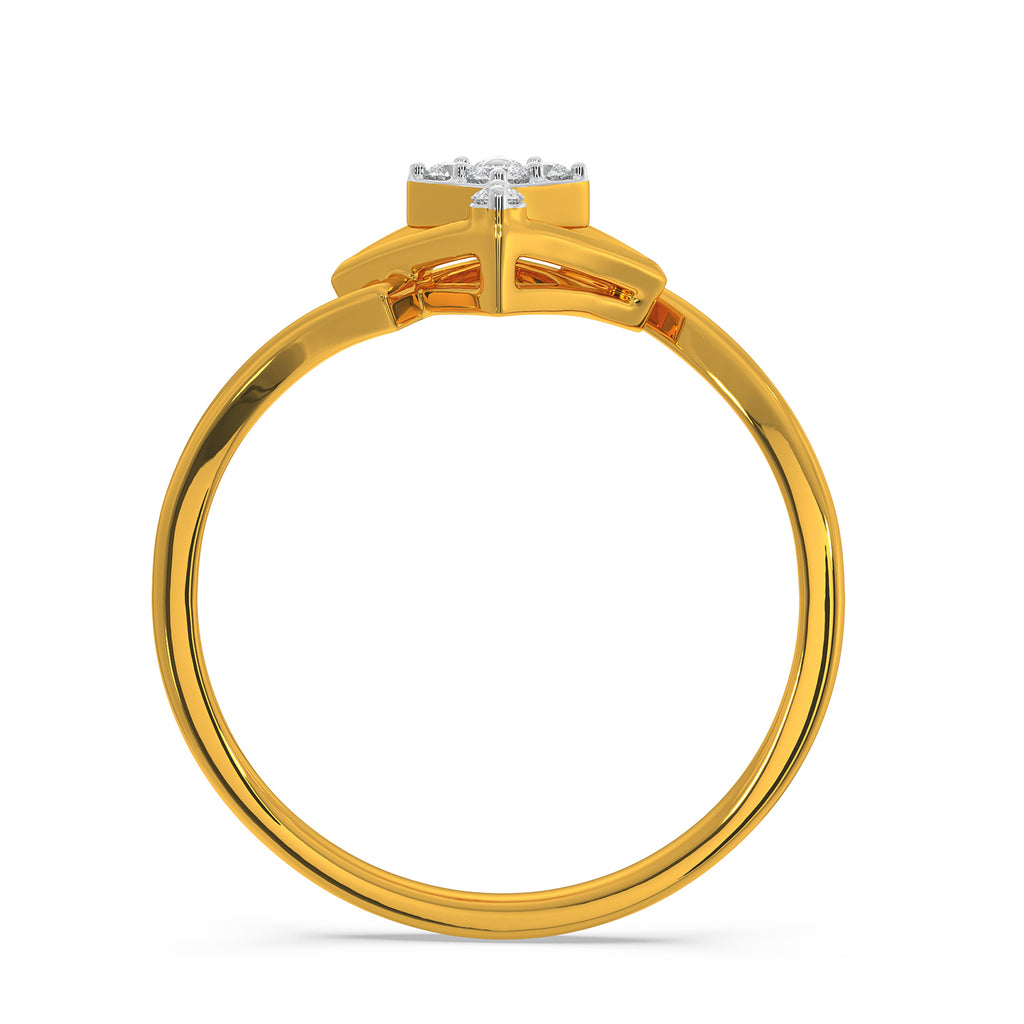 Parker Ring