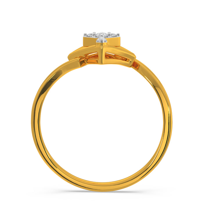 Parker Ring