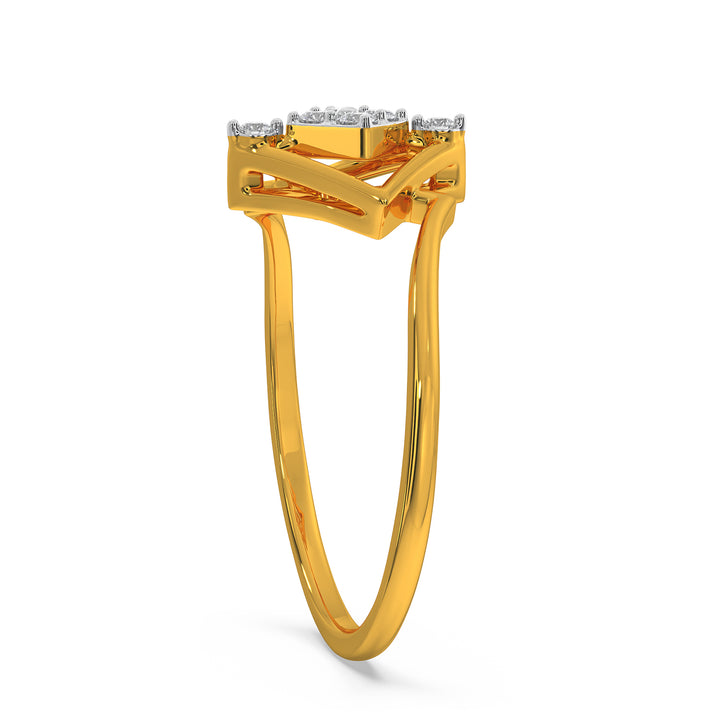 Parker Ring
