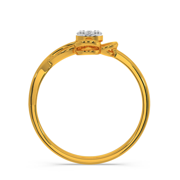 Paula Ring