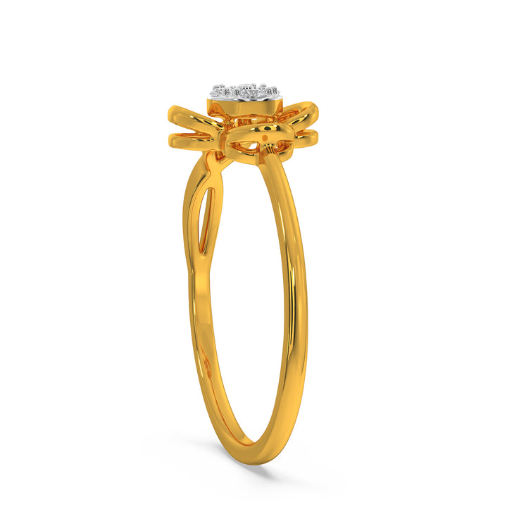 Paula Ring
