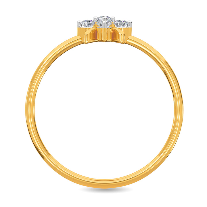 Delaney Ring
