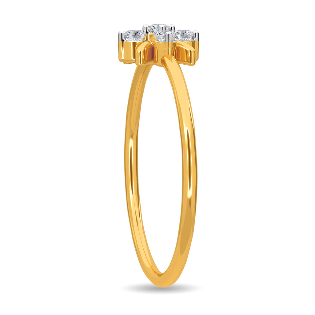 Delaney Ring