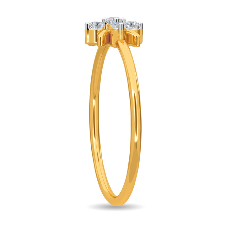 Delaney Ring