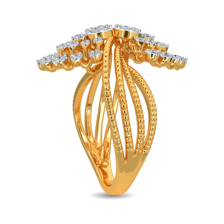 Aryndra Ring