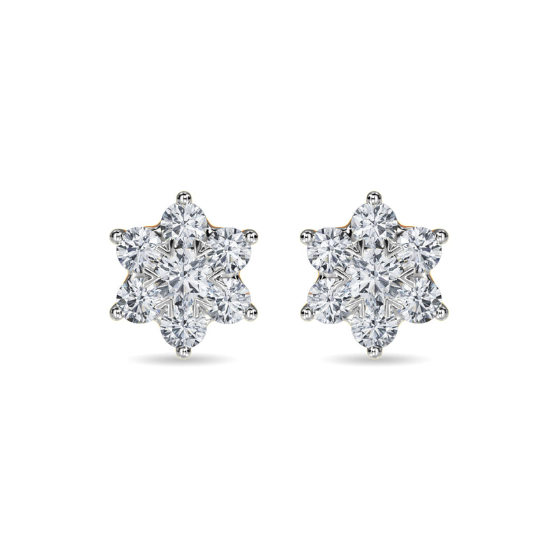 Delanie Earring