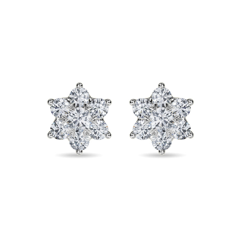 Delanie Earring