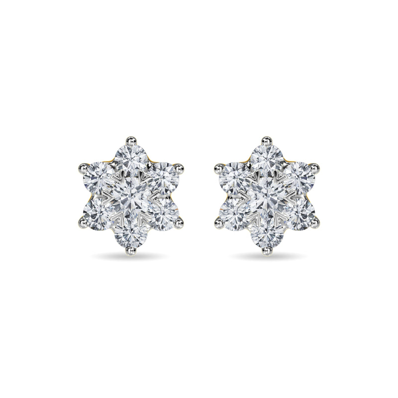 Delanie Earring