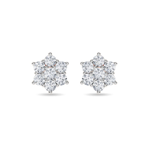 Haylo Earring