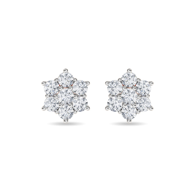 Haylo Earring
