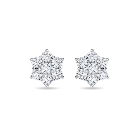 Haylo Earring