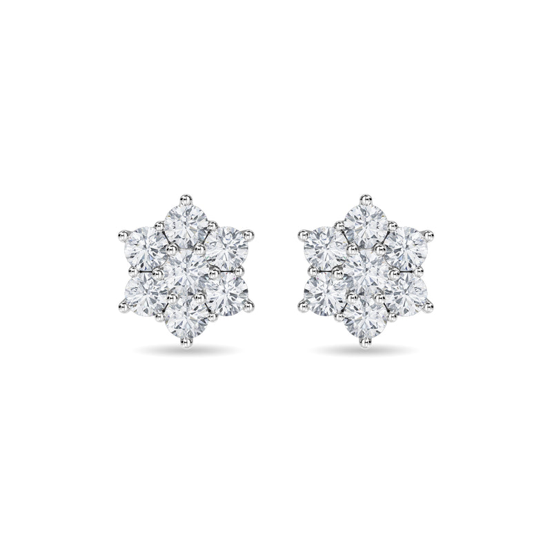 Haylo Earring