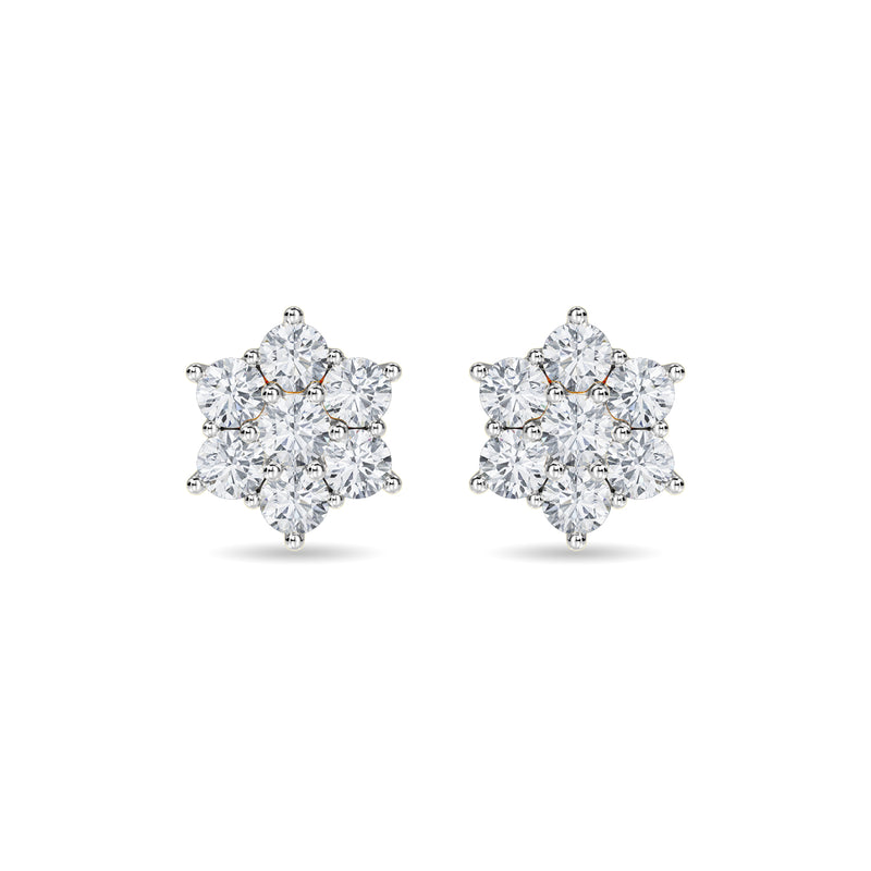 Haylo Earring