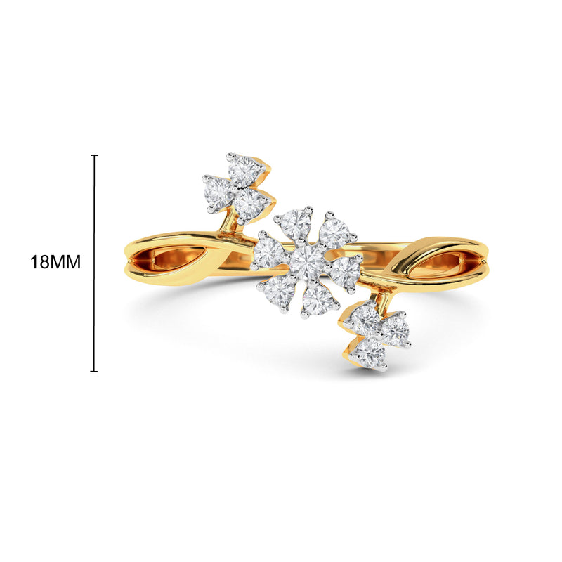 Warhi Ring