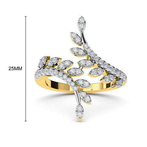 Saoirse Ring