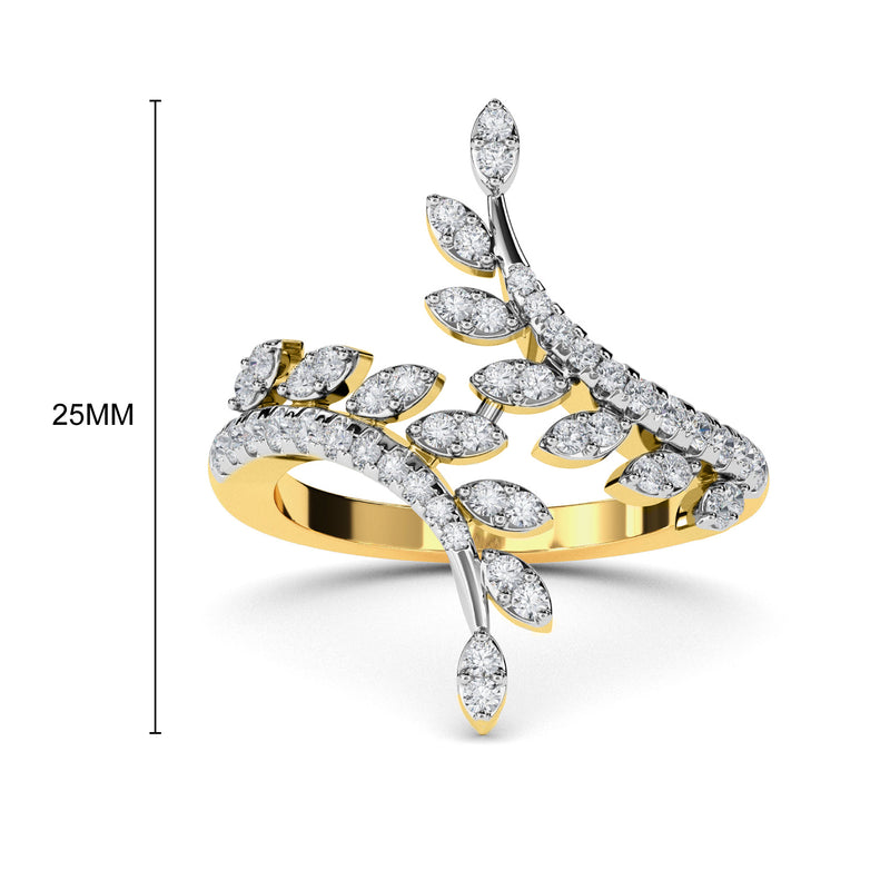Saoirse Ring