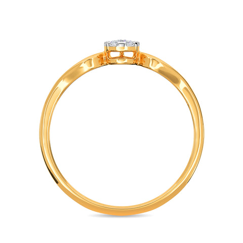 Composite Fusion Ring