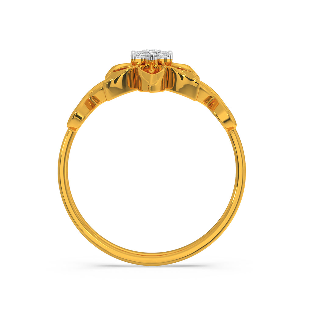 Deni Ring