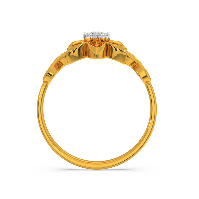 Deni Ring