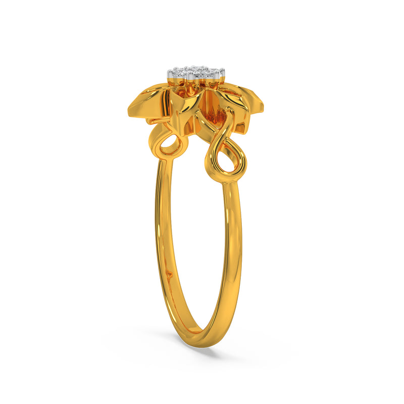 Deni Ring