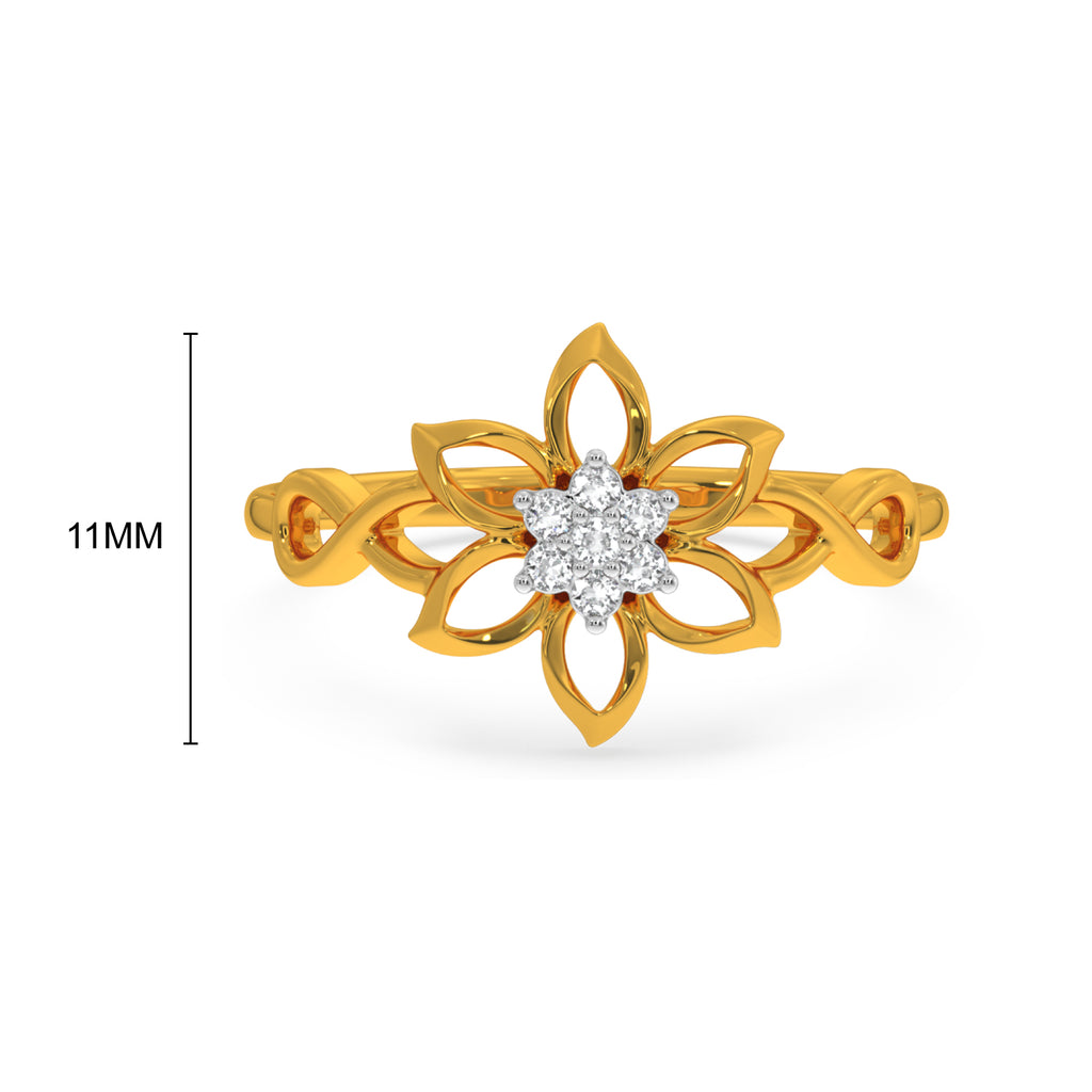 Deni Ring