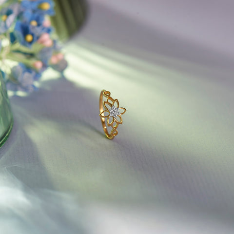 Deni Ring