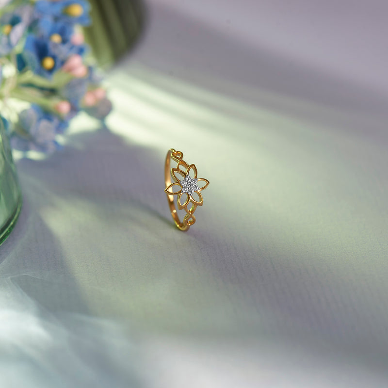 Deni Ring