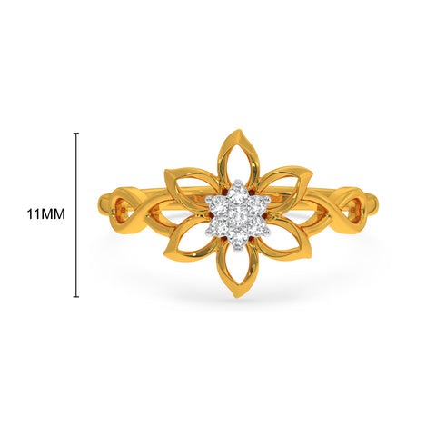 Deni Ring
