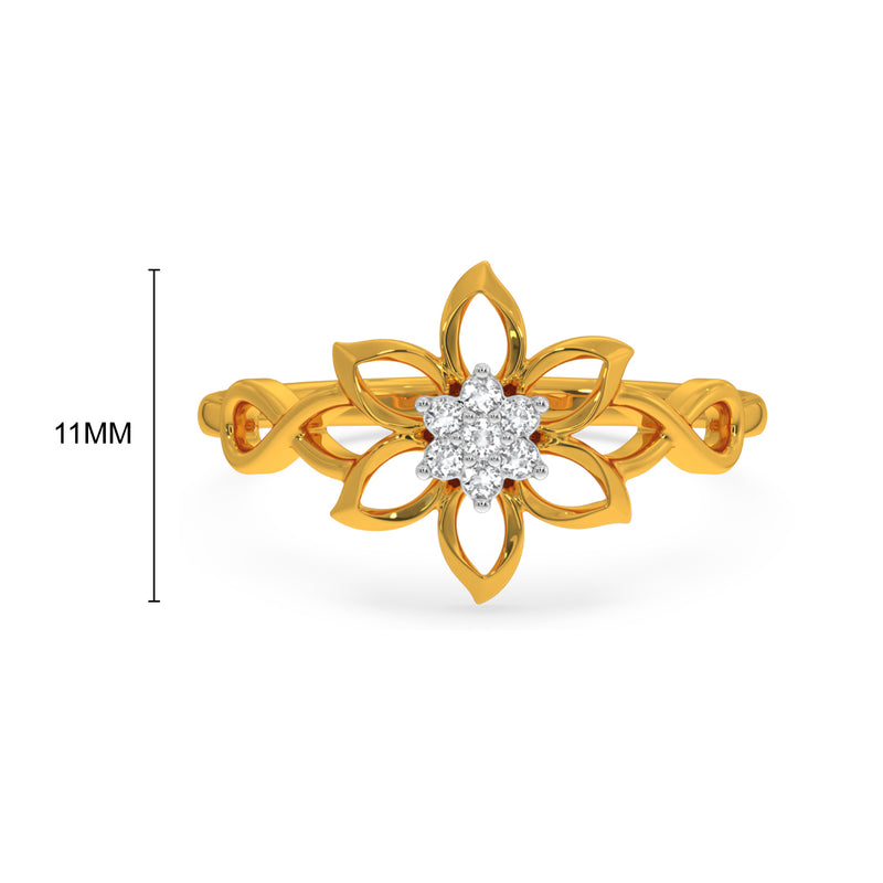 Deni Ring