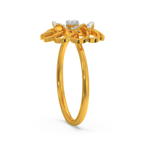 Holly Ring