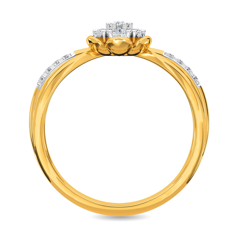Steven Ring